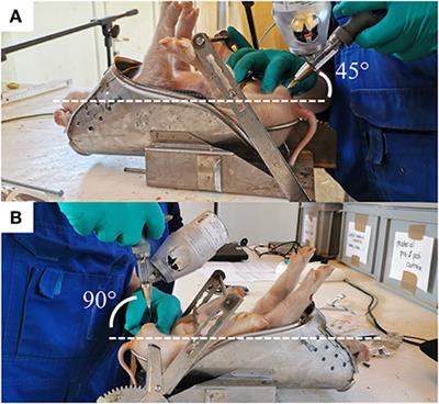 Piglets' acute responses to local anesthetic injection and surgical castration: Effects of the injection method and interval between injection and castration